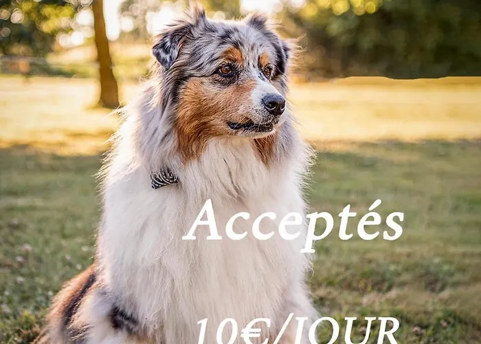 Confort Neuf Au Calme 6p Wifi *